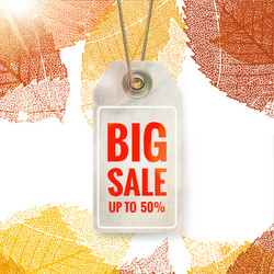 Similar image 11808449