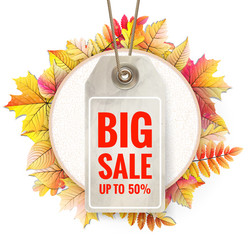 Similar image 11808469