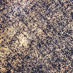 Similar image 11825357