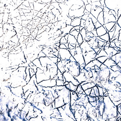 Similar image 11825373