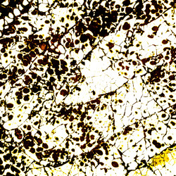 Similar image 11825416