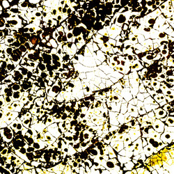 Similar image 11825435