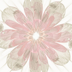 Similar image 11825455