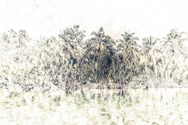 Similar image 11826116