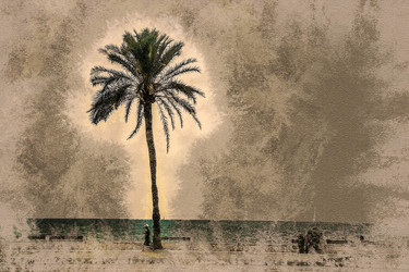 Similar image 11824461