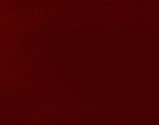 Similar image 11802034