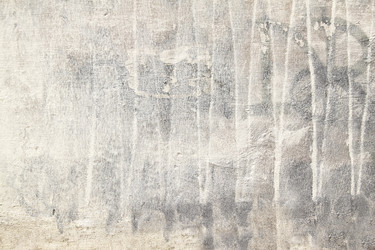 Similar image 11808989