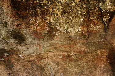 Similar image 11809014