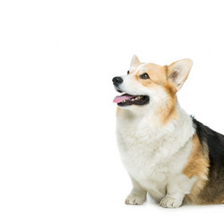 Similar image 11802476