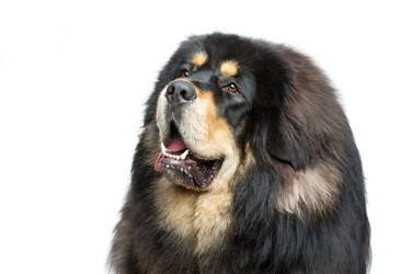 Similar image 11802513