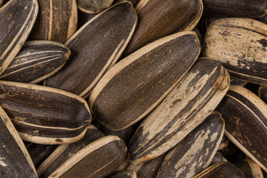 Similar image 11787788