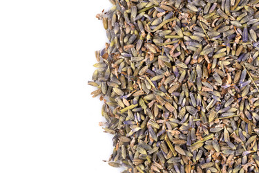 Similar image 11787278