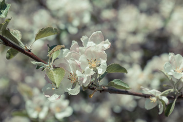 Similar image 11787279