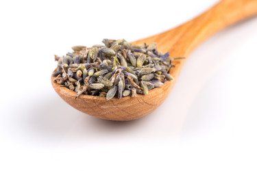 Similar image 11787282