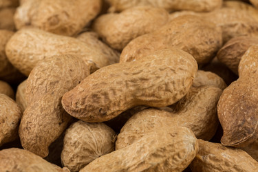 Similar image 11786983