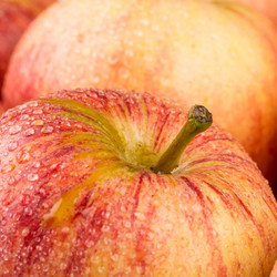 Similar image 11787006