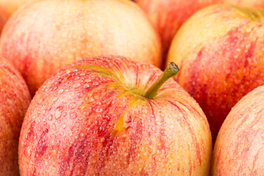 Similar image 11787041