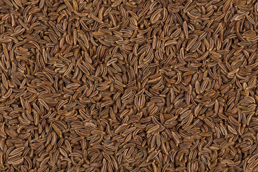 Similar image 11787059