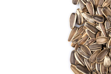 Similar image 11787062