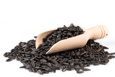 Similar image 11787064