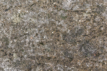 Similar image 11787066