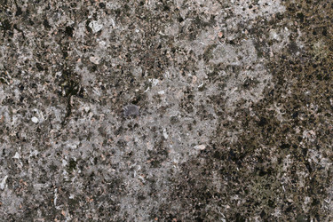 Similar image 11787117