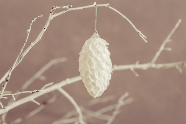 Similar image 11787123