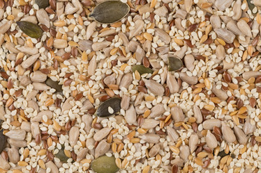 Similar image 11787159