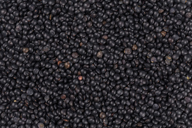 Similar image 11787161