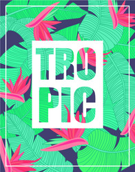 Similar image 11833726