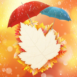 Similar image 11807048