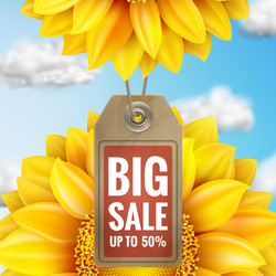 Similar image 11807093