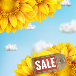 Similar image 11807094