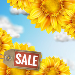 Similar image 11808471