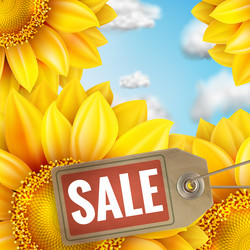 Similar image 11808491