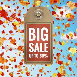 Similar image 11808651