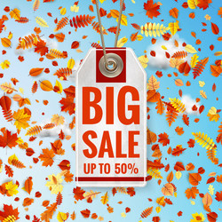 Similar image 11808671