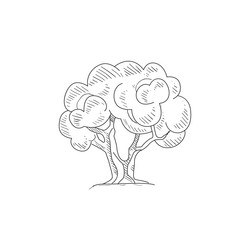 Similar image 11832700