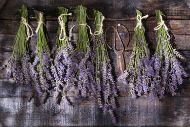 Similar image 11790710