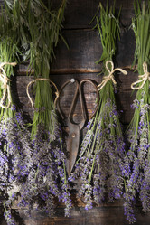 Similar image 11790712