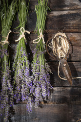 Similar image 11790713