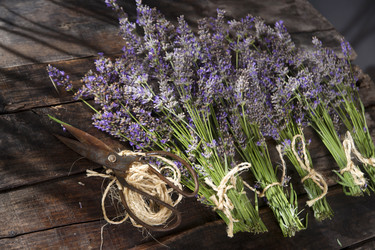 Similar image 11790714