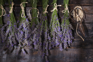 Similar image 11790715