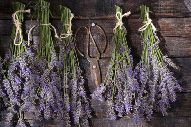 Similar image 11790716