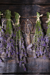 Similar image 11790717