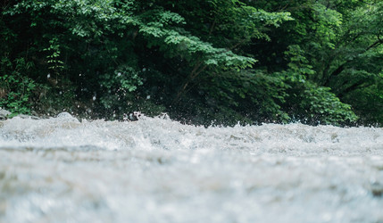 Similar image 11783754