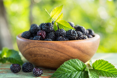 Similar image 11790972