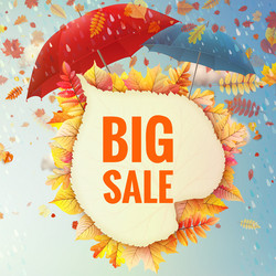 Similar image 11808529