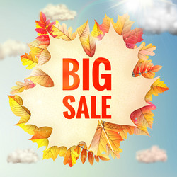 Similar image 11808545