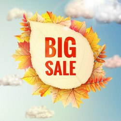 Similar image 11808567